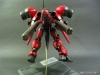 gerbera02_06
