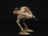 jerry_02