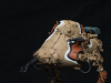 jerry_06